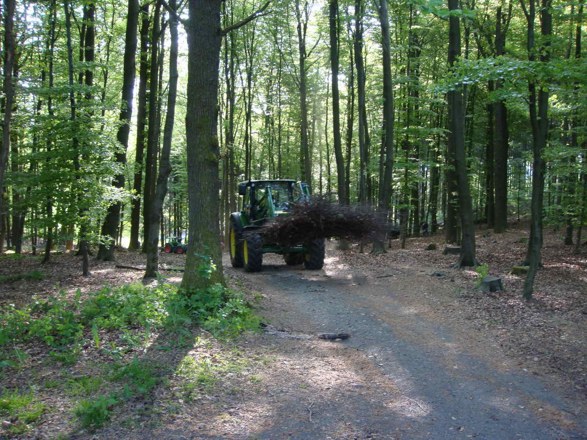 2011-05-07 KPF Wald 01.jpg
